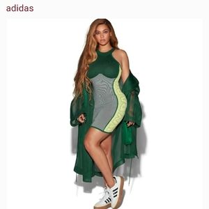 Ivy Park dress and  shoes (whats shown above)